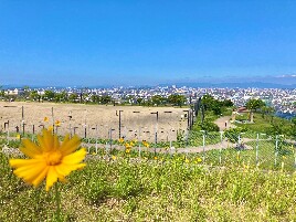 本日は晴天なり