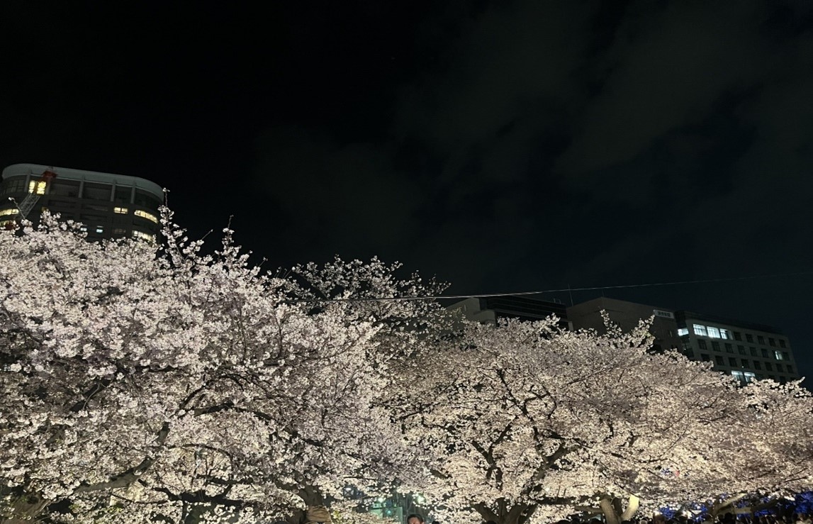 ちょこっと春を体感